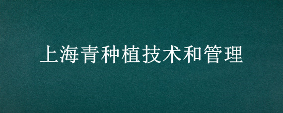 上海青种植技术和管理