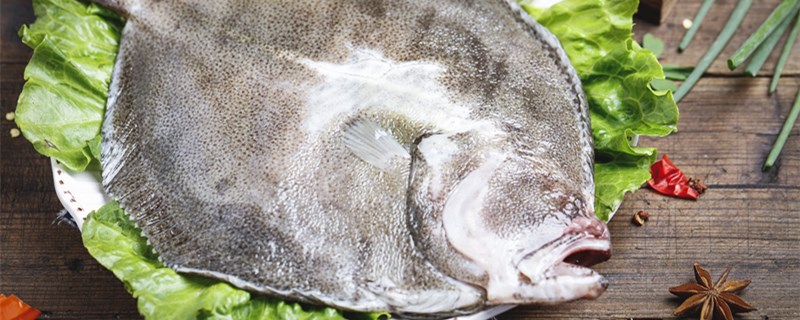 多宝是不是热带鱼