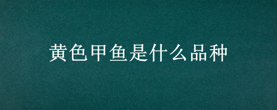 黄色甲鱼是什么品种