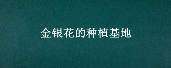金银花的种植基地
