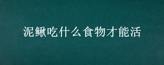 泥鳅吃什么食物才能活