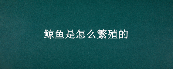 鲸鱼是怎么繁殖的