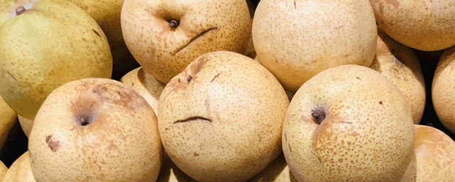 寿光四季梨苗多少钱一棵