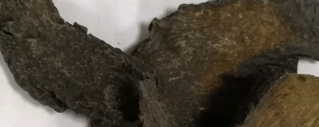 黄精种植每亩产多少斤