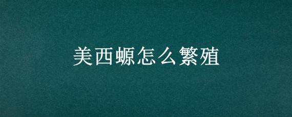 美西螈怎么繁殖