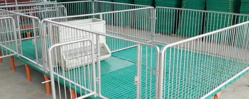 母猪产床安装步骤母猪小挑花常见的三种定位法