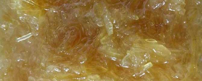 蜂蜜柚子茶可以减肥吗？