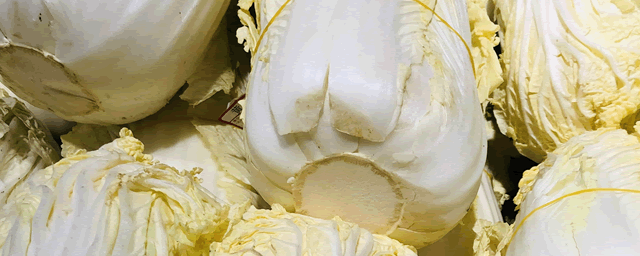 八月份适合种什么蔬菜