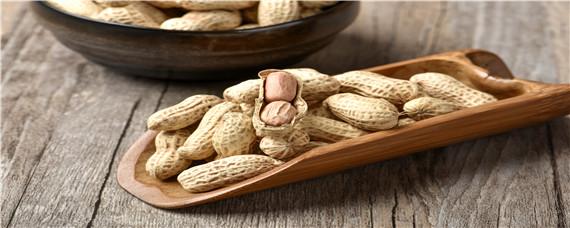 花生怎么发芽最快