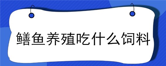 鳝鱼养殖吃什么饲料