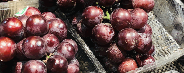 葡萄树用什么粪最好