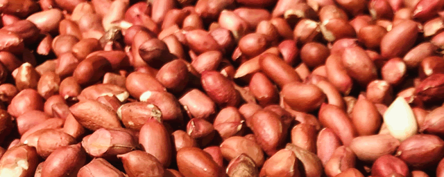 花生青虫用什么药好