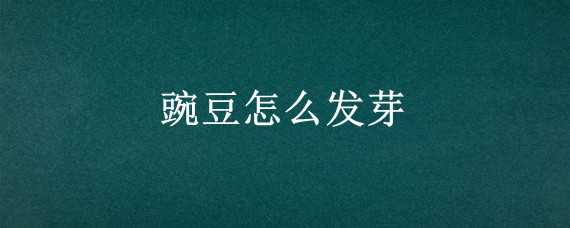 豌豆怎么发芽