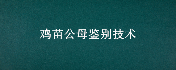 鸡苗公母鉴别技术