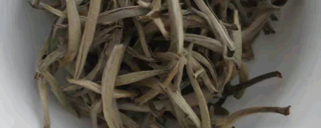 老白茶怎么泡