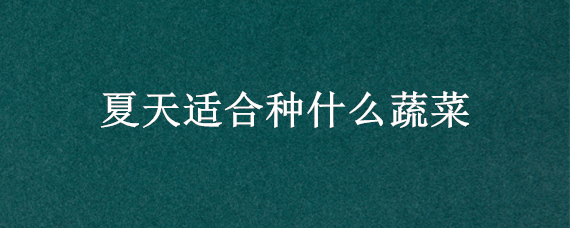夏天适合种什么蔬菜