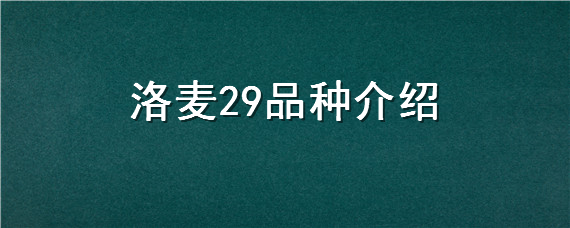 洛麦29品种介绍