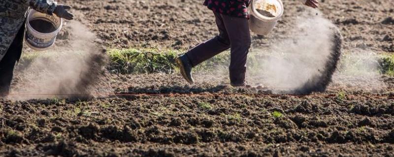 松土精的使用方法对植物有危害吗