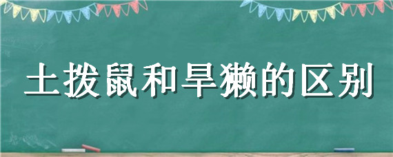 土拨鼠和旱獭的区别