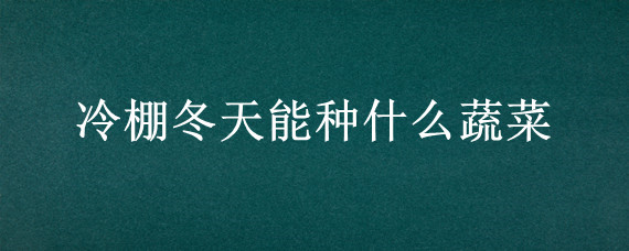 冷棚冬天能种什么蔬菜