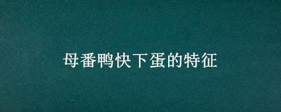 母番鸭快下蛋的特征