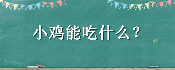 小鸡能吃什么