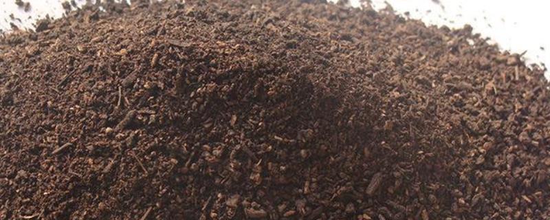 蘑菇渣为什么不能做肥料蘑菇渣有什么用