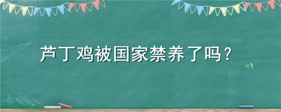 芦丁鸡被国家禁养了吗