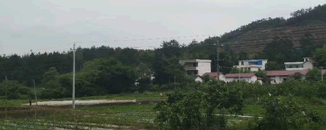 农业致富好项目