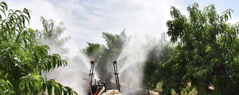 微生物菌剂使用方法与菌肥有什么区别