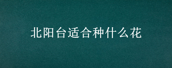 北阳台适合种什么花