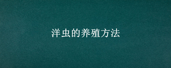 洋虫的养殖方法