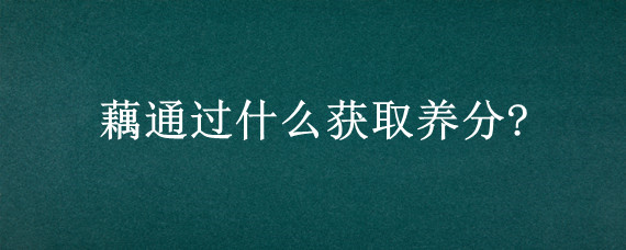 藕通过什么获取养分?