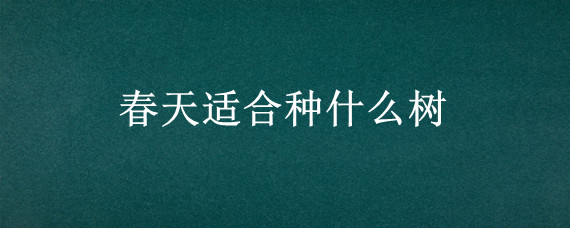 春天适合种什么树