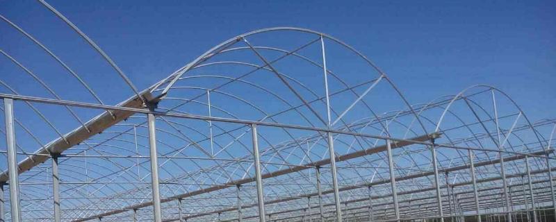 简易大棚怎么搭建，养鸭大棚是怎样建造的