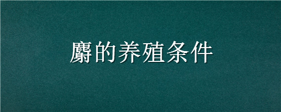 麝的养殖条件