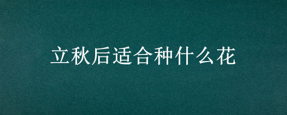 立秋后适合种什么花