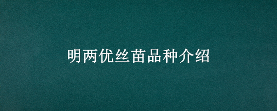 明两优丝苗品种介绍