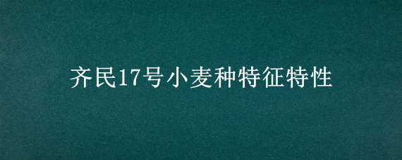 齐民17号小麦种特征特性