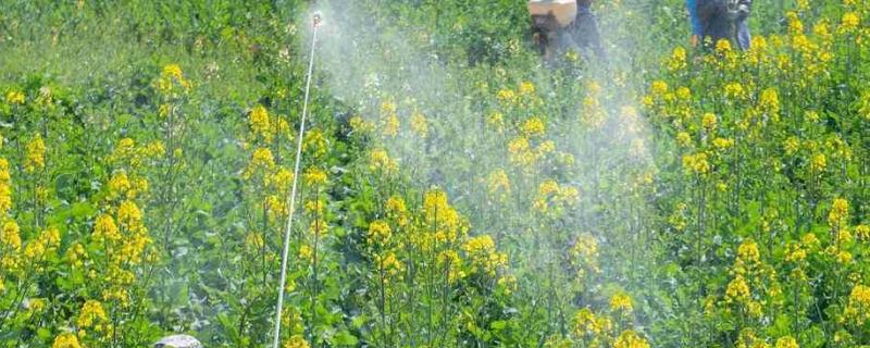 虱螨脲的作用和使用方法不能和什么混配