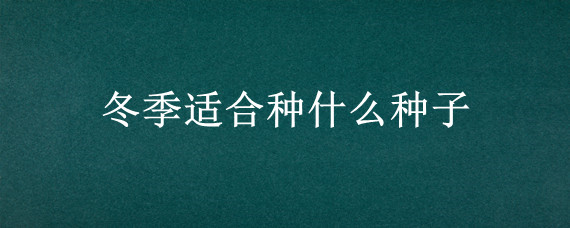 冬季适合种什么种子