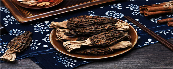 野生羊肚菌和人工羊肚菌的区别