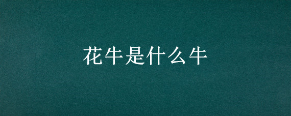 花牛是什么牛
