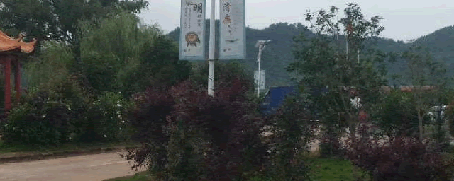 黄粉虫饲养中水分如何管理