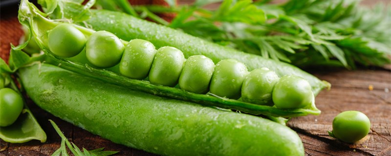 豌豆是果实还是种子
