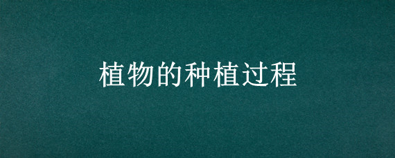 植物的种植过程