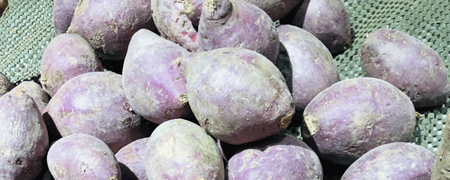 种红薯用什么复合肥