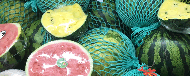 如何种好优质西瓜