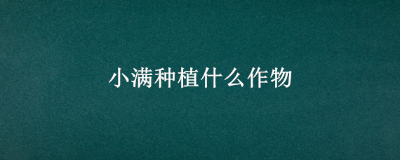 小满种植什么作物