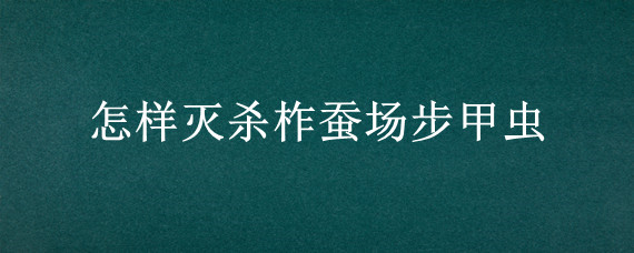 怎样灭杀柞蚕场步甲虫